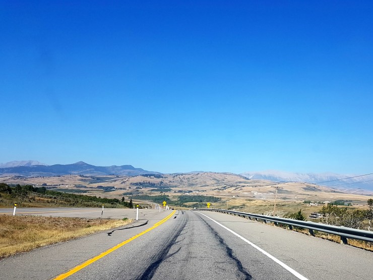 36562835270_acc9deb943_o