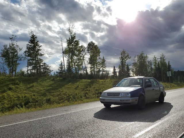 48691789702_cb4dbdbd8d_z